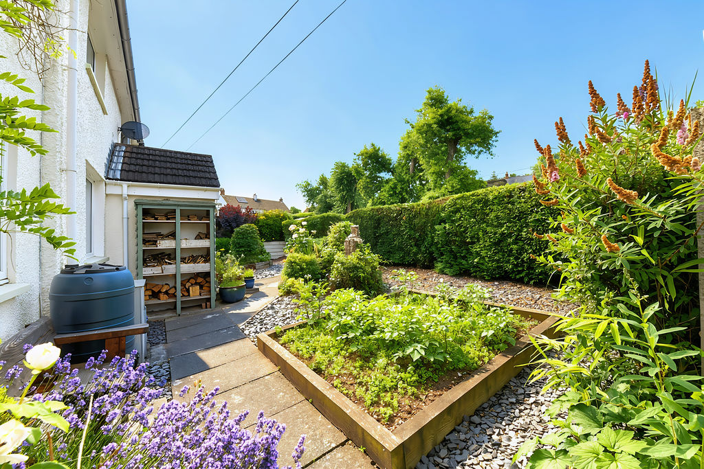 Front Garden- click for photo gallery